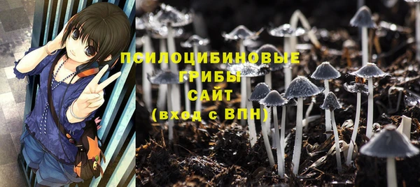 шишки Баксан