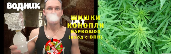 шишки Баксан