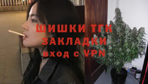 шишки Баксан