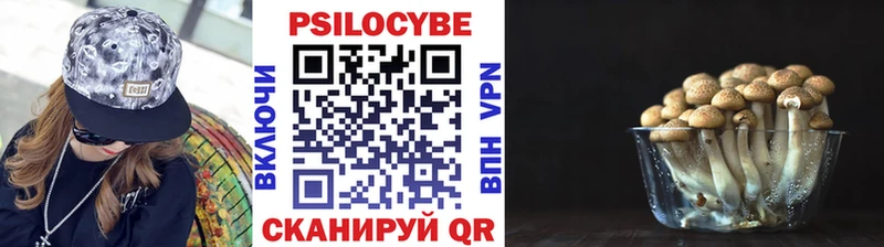 Галлюциногенные грибы Psilocybine cubensis  Киреевск 