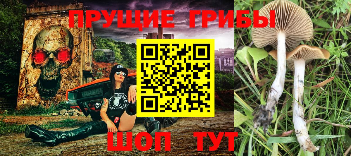 Псилоцибиновые грибы мицелий  Вход с VPN  купить закладку  Киреевск 